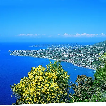 Angela & ホテル Forio di Ischia
